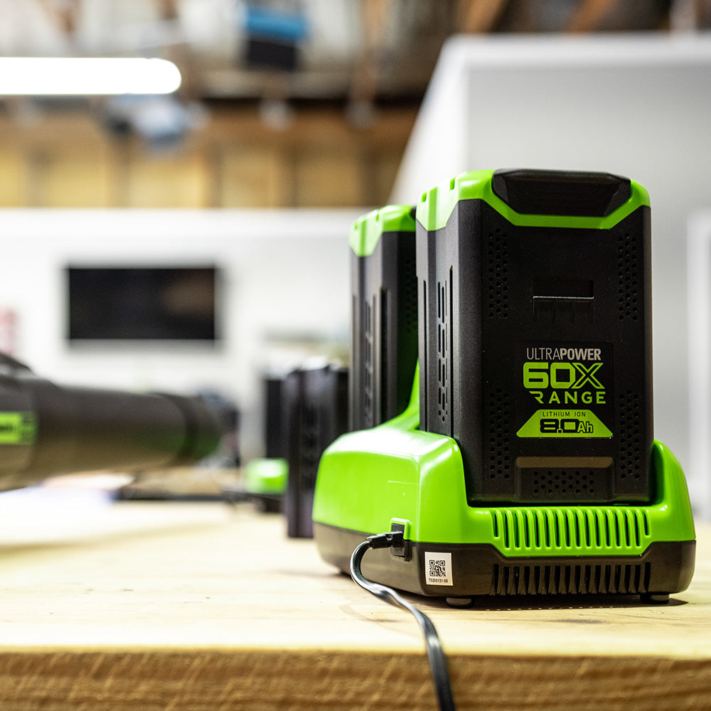 60V Schnellladegerät 2A