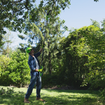 POWERALL 24V Hochentaster 20cm Gen. II - 2Ah Akku