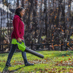 40V Laubbläser 210 km/h Gen. II - 2x 2Ah Akkus